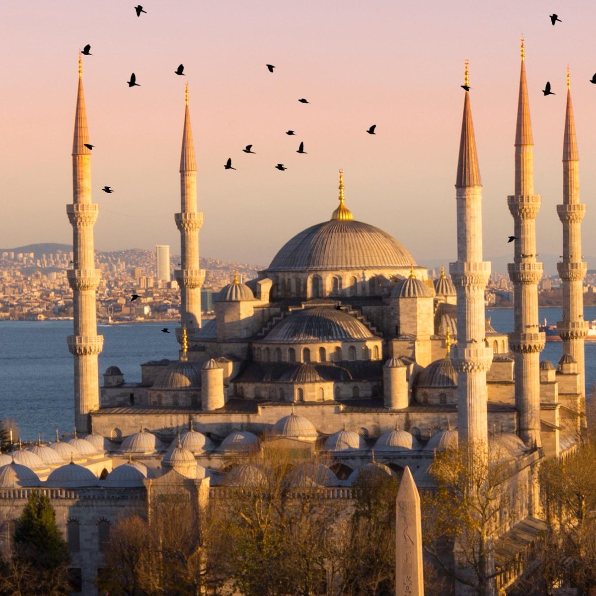 TravelTana's tweet photo. Exploring the Timeless Charms of Istanbul! 🌆

Istanbul, where the past and present coexist seamlessly, promises a journey through time and culture. Each corner tells a story, and every landmark is a testament to the city's rich and diverse heritage. 🇹🇷✨

#Istanbul #City https://t.co/pDT8T63wDP