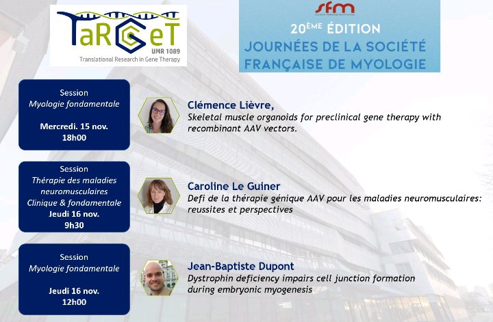 Jean-Baptiste Dupont tweet media