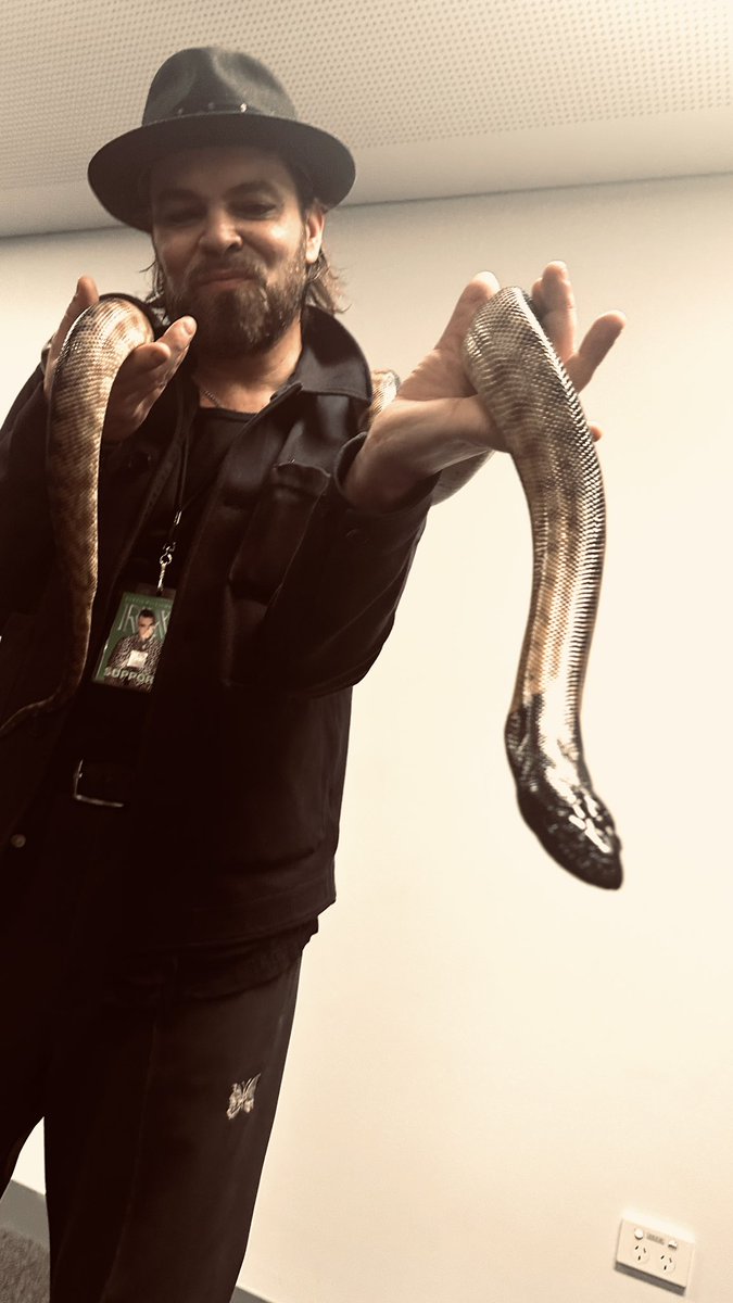 GazCoombes's tweet photo. Met some gorgeous new friends backstage before the show….so cool!
Thanks to the lovely folks from @TheSydneyZoo ❤️
#blackheadedpython #koala #wallaby #allianzstadium https://t.co/hwIml9S9MD
