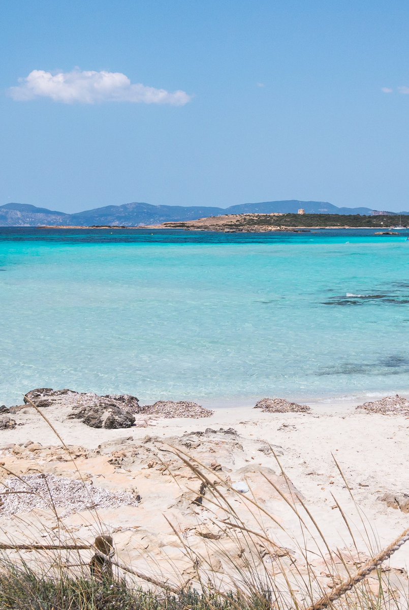 visitformentera's tweet photo. Si en Formentera tenemos estas aguas cristalinas, es gracias a ella. 👇💙
La Posidonia Oceánica 🌱 es la planta más importante del ecosistema marino de las Pitiusas y en 1999 se declaró Patrimonio Mundial de la @UNESCO 👌🏽

#DíaInternacionalDelPatrimonioMundial https://t.co/bTTqWvGPoc
