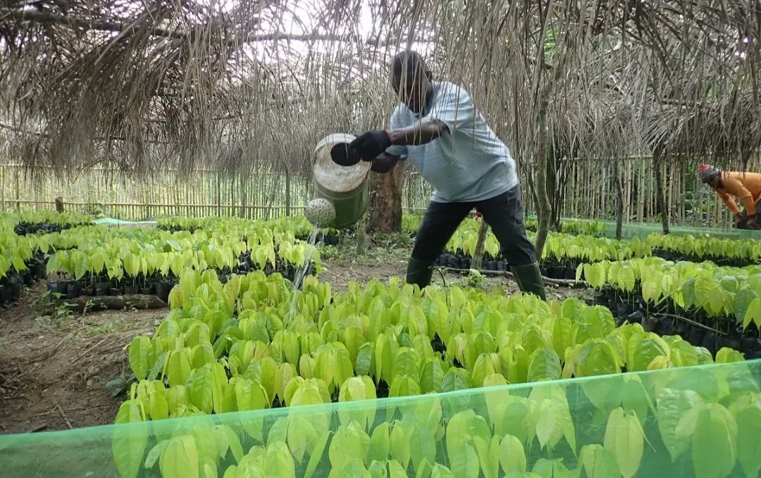 WCS_Nigeria's tweet photo. WCS supports sustainable livelihood activities for people living around protected areas in Bauchi &amp; Cross River States to curb activities that threaten wildlife &amp; wild places. Improved livelihoods reduce dependence on forests &amp; protect wildlife. https://t.co/tEU4IKT70t