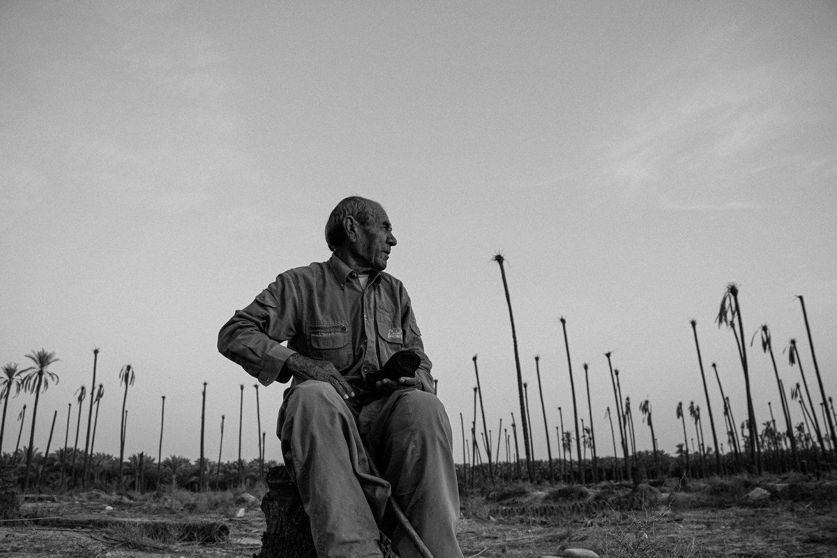 Taher_MAT1987's tweet photo. When through the air a voice did resound
beckoning the shepherd to rise from the ground!

[THE SHEPHERD:]
What sweet voice does sing in such a woebegone tone?
What maiden does wander the heather alone?
#photography #Empyrium

🌴Good Morning everybody ☀️ 
#Objkt Link ⤵️ https://t.co/0WRU5UpSSG