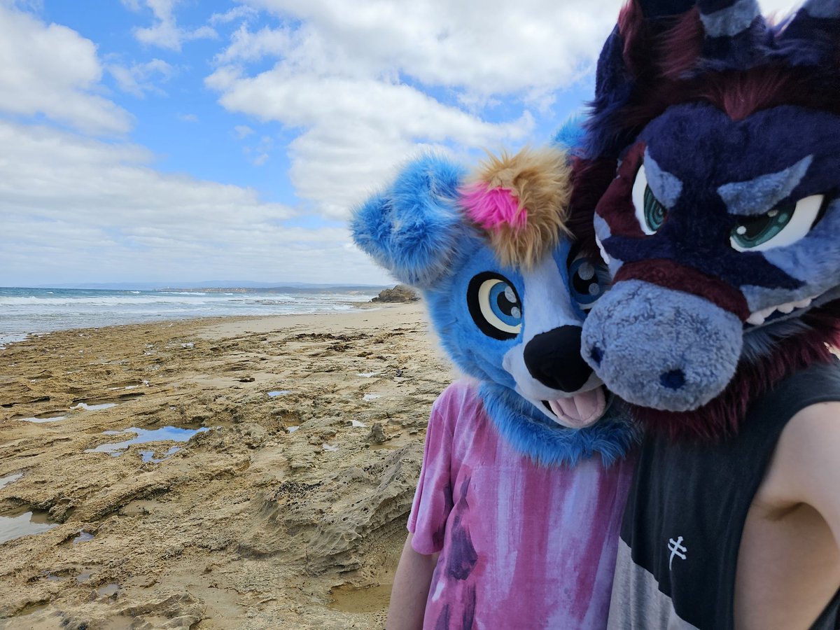 Come explore the rock pools with us!

🐺: <a href="/Atlas_JAB/">AtlasJAB</a>
📸: <a href="/DoritoDustDog/">Dust</a>