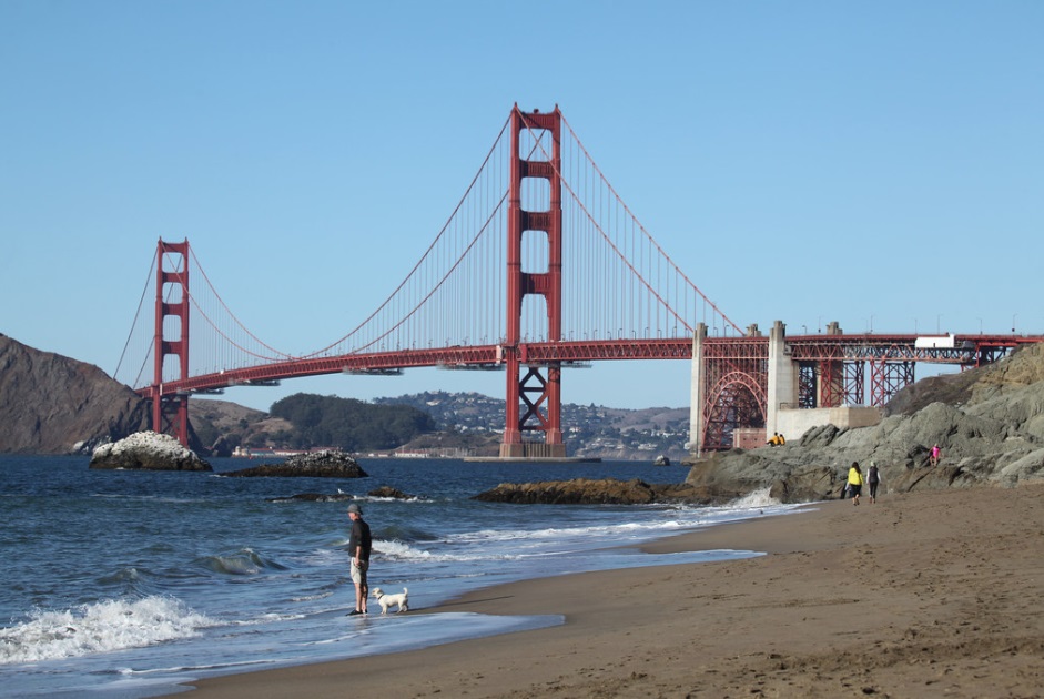 BullWall tweet media