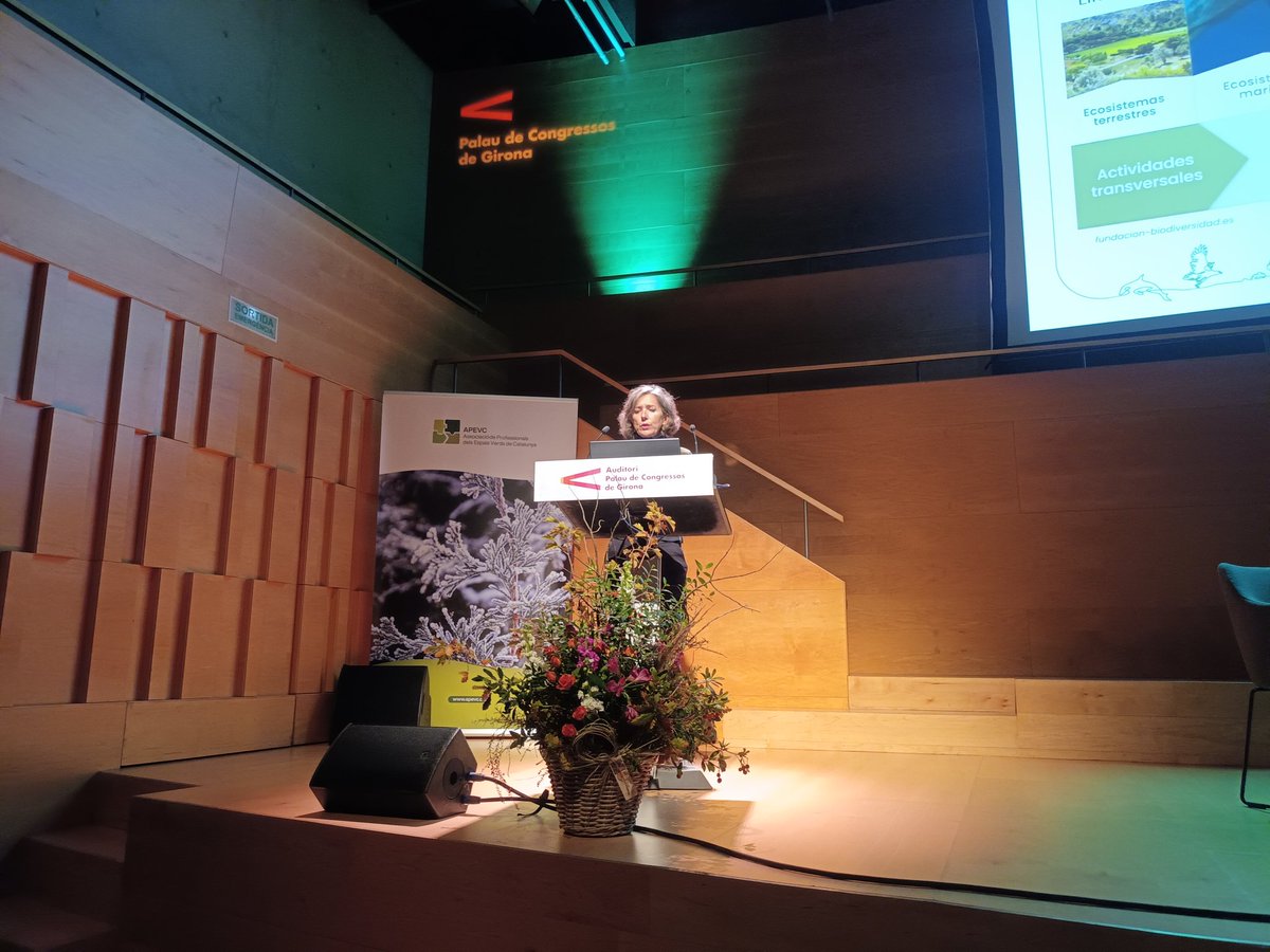 apevcat's tweet photo. Presenta Núria Preciado, Jefa del Área de Ciudades de Fundación Biodiversidad, su ponencia Claves para la implementación de la renaturalización en los espacios verdes urbanos. #congresAPEVC #elboscurba #espaisverds #verdurba #renaturalitzacio https://t.co/nKOUqUboxF