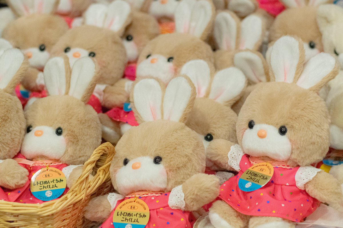 RT @yoshitoku_plush: 明日11月17日、浅草橋本店と名古屋店にて