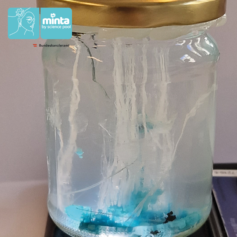SciencepoolVwV's tweet photo. Aktuell in den MINTA-Clubs: chemische Reaktionen. Mit wenigen Schritten sehen wir, wie verschiedene "Zutaten" miteinander reagieren und lernen gleich etwas zur Experimentier-Sicherheit. Ergebnis: Ein wunderschöner "Unterwassergarten" zum nach Hause nehmen #MINTA #MINTLIEBE https://t.co/9gCPZd4Qqr