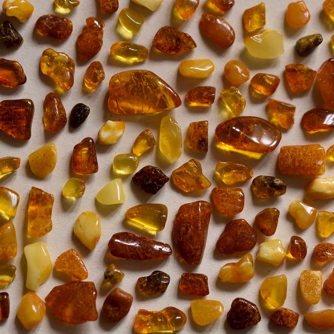 jdfrei's tweet photo. Insects in baltic amber, frozen in tree resin 40 mio years ago. https://t.co/AoP5S2PRa4