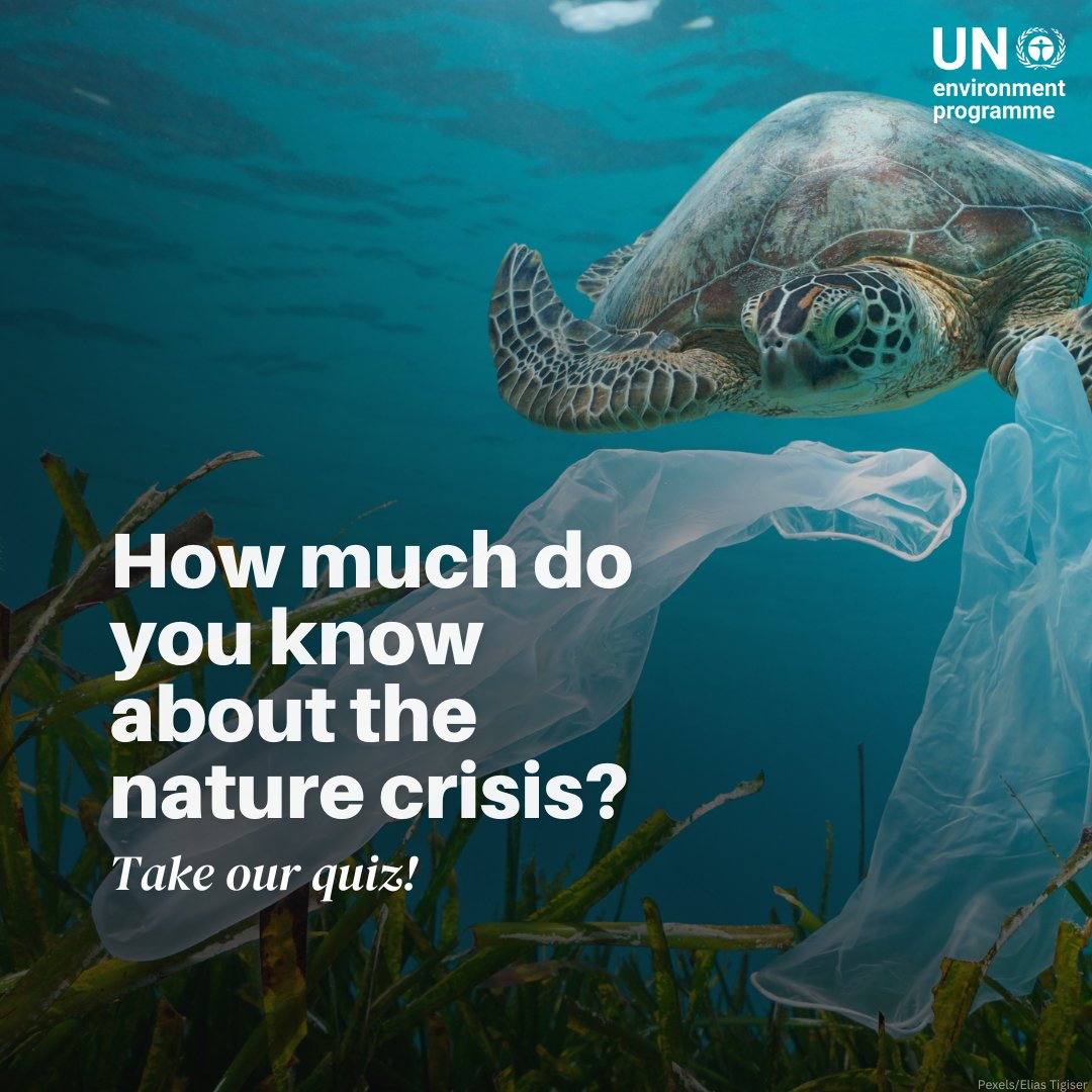 UN Environment Programme tweet media