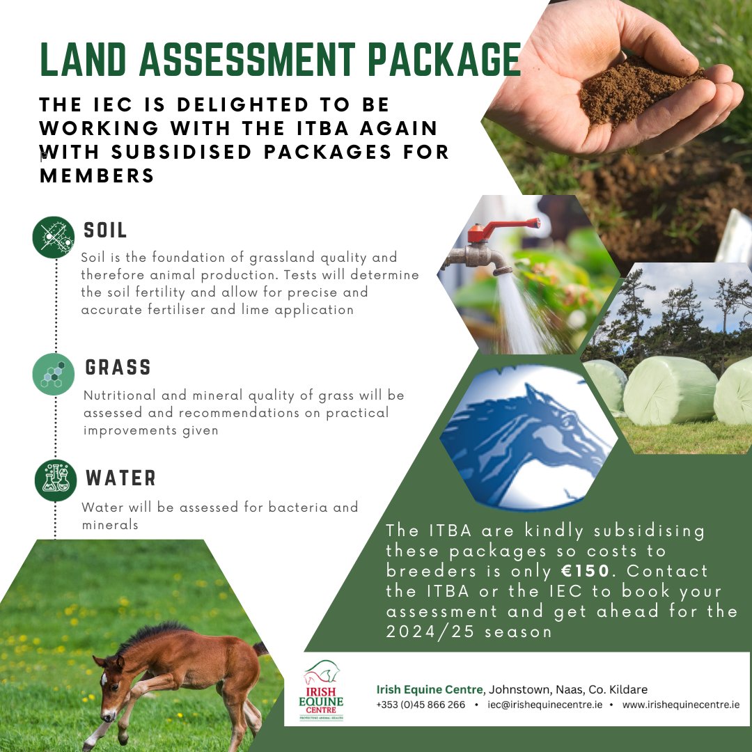 IrelandEquine's tweet photo. The IEC is delighted to be working with the ITBA again in 2024 to support Irish Thoroughbred Breeders
#irishthoroughbred #irishthoroughbredbreedersassociation #itba #healthyhorses #healthyhorse #vetlaboratory #veterinarycare #veterinarylaboratory https://t.co/ZaXq1w7mBa