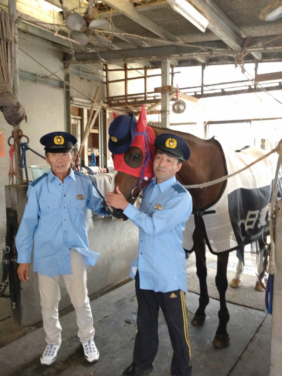 ジョッキーの嫁じょ tweet media