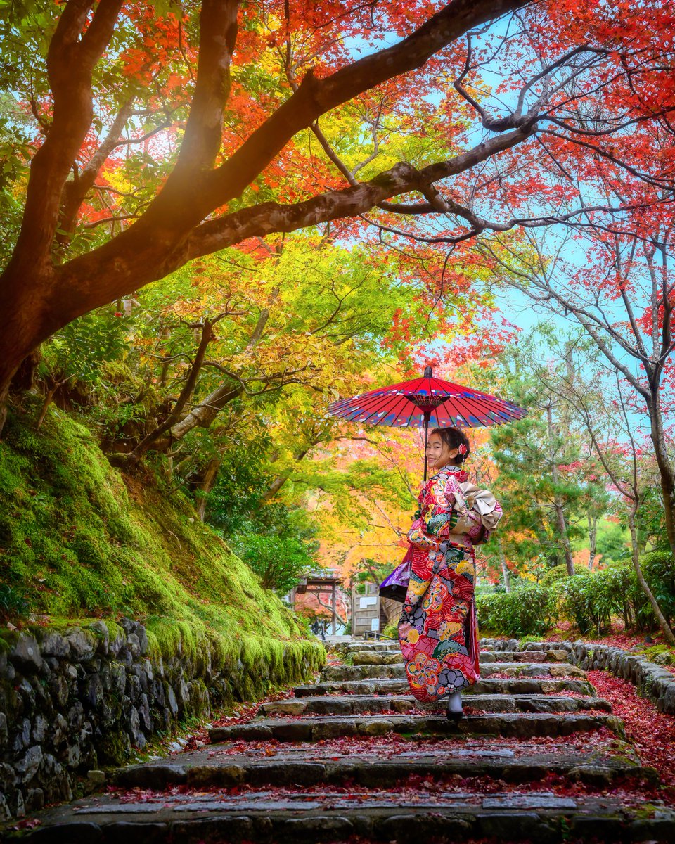 Random eye-catching photo of Japan during autumn aside, it’s important to know that overtourism is quickly becoming a significant problem in Japan. Just last month, Japan saw more inbound travelers than before the pandemic.

Simply put, the major attractions are now so…