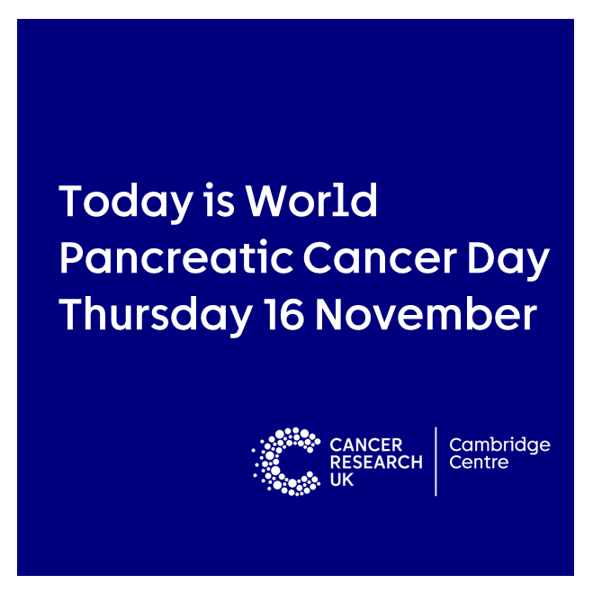 Today is #WorldPancreaticCancerDay. Our @CRUKCamPancCan programme unites with Botton-Champalimaud Pancreatic Cancer Centre, Portugal and the Jreissati Pancreatic Centre @epworth, Australia to tackle the growing challenge of #PancreaticCancer. 👉 tinyurl.com/56u4m3cd