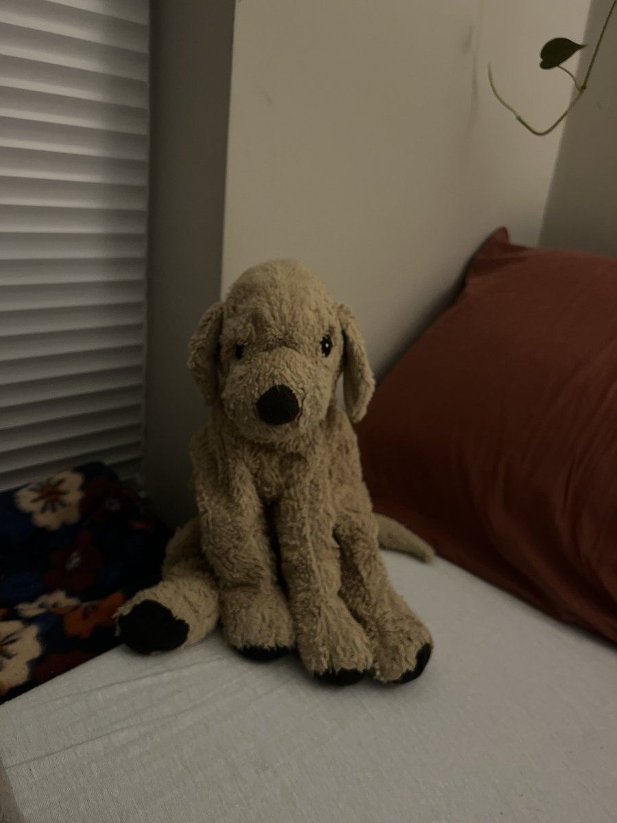 M@ 🫎🐅 (@processphilly) on Twitter photo 