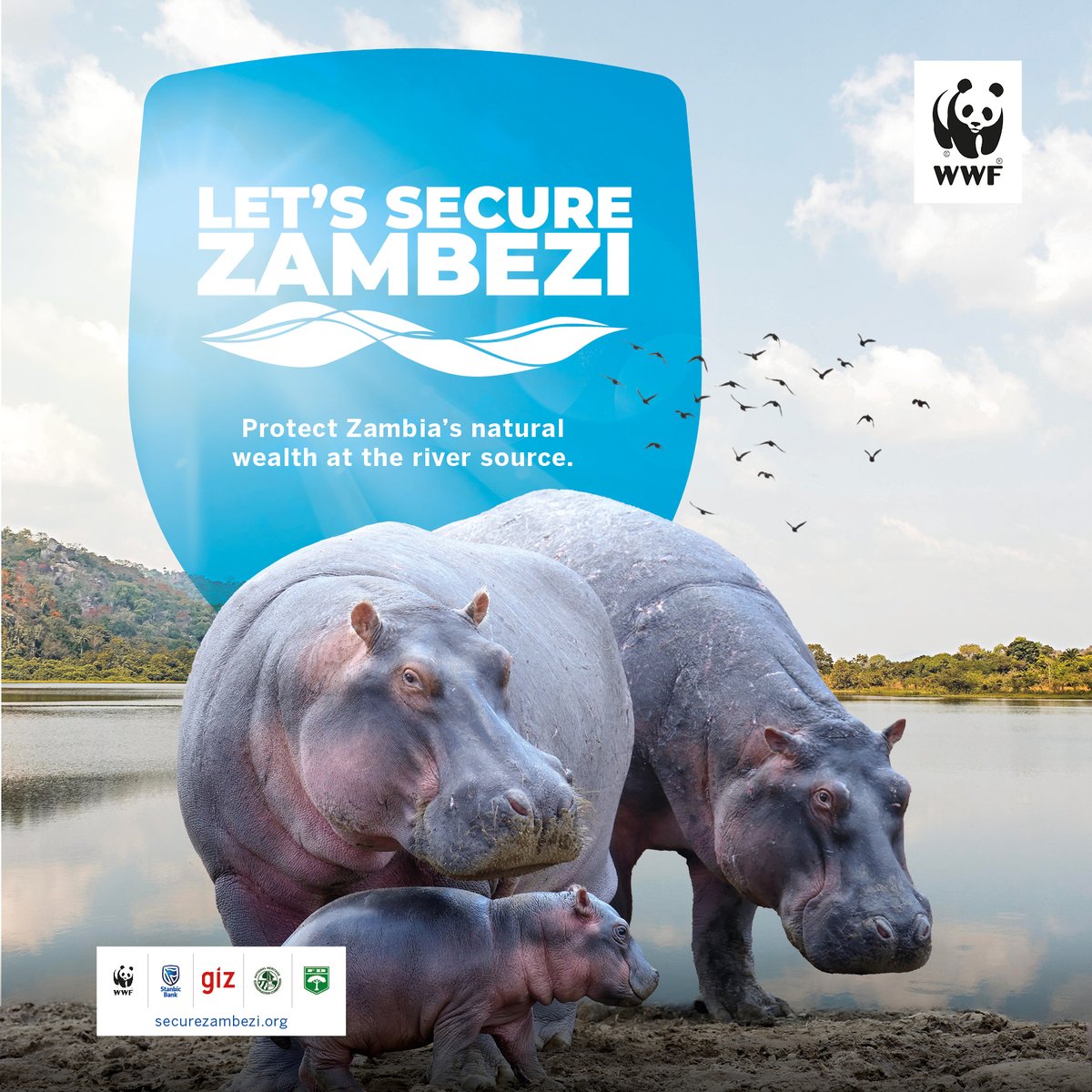 wwfzambia's tweet photo. Embark on a mission to safeguard the Zambezi! Click the link https://t.co/mgZVl1DEKp and commence your journey towards a sustainable Zambezi River!
@StanbicBankZM 
#Let'sSecureZambezi 
#WWFZambia 
#StanbicBank 
#TogetherIsPossible https://t.co/7gb2q6J5hZ
