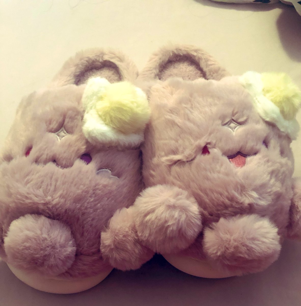 werewolfclass's tweet photo. Look what arrived today! Thank you @lucidrecms for hosting this GO. The slippers are cute and comfy #drecmsproofs https://t.co/jXG5MBRhU0