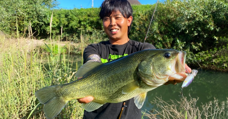 megabass_jp's tweet photo. 【Megabass Blog】オッチー的！I×I SHADシリーズで秋のため池攻略！

Megabassスタッフ 越智 一輝
https://t.co/deKgcDZ1AH

#megabass #mymegabass #IxIShad ＃IxIFurious https://t.co/abpkTo7o7q