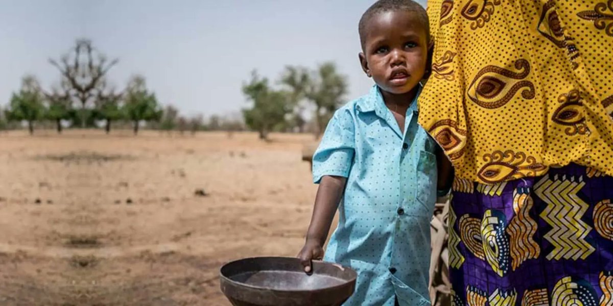 FioGroup1's tweet photo. Fio Capital is actively investing in sustainable solutions to tackle food scarcity in Africa.
 Let's drive positive change together.
@CyrilRamaphosa @DlaminiZuma 
 #PrivateEquity #ImpactInvesting #AfricaFoodSecurity 🌱🤝 https://t.co/oSn7l0CoSX