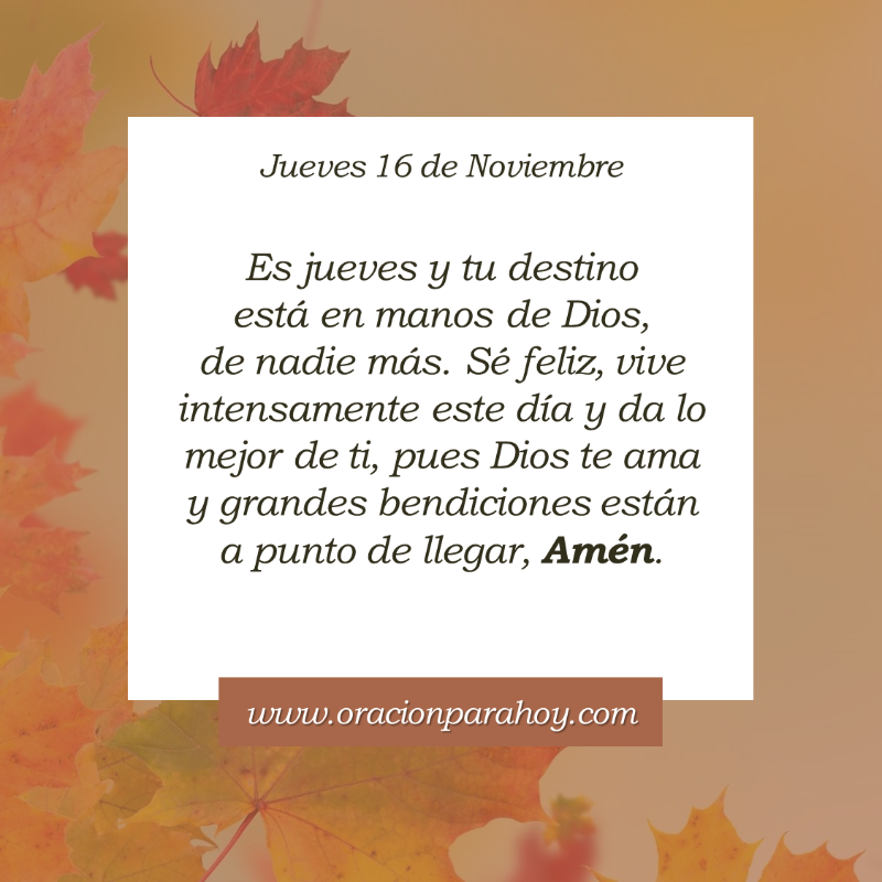 OracionParaHoy's tweet photo. Oración para hoy 16 de noviembre: https://t.co/qrEc0viIOa