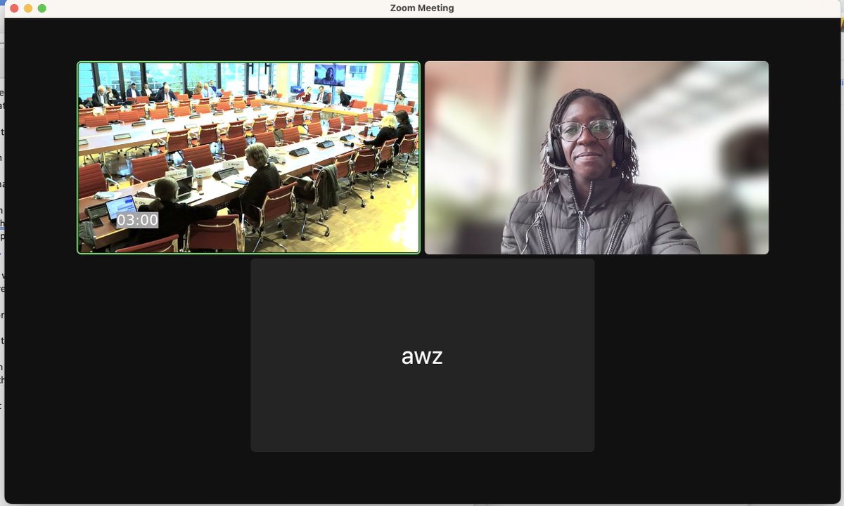 kenyancyclist's tweet photo. Yesterday I spoke (virtually) at the German Parliament. Did I feel like a fish playing with sharks? Of course! 😅 I was honoured to talk about urgency of gender mainstreaming and feminist representation in mobility development projects. I talked about how women experience... https://t.co/th9PUb1Mv3