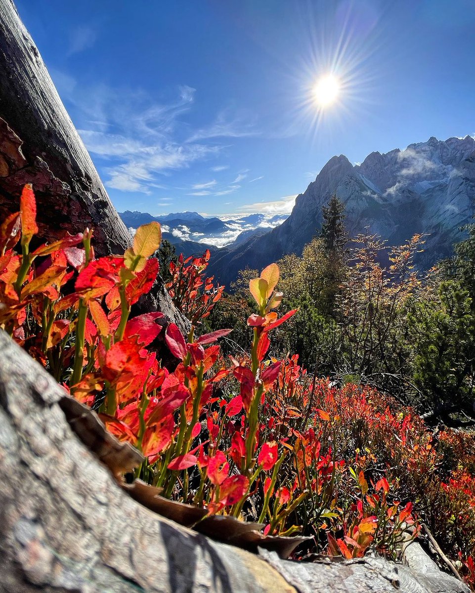 Good Morning 🌞
Beautiful Day 🍁