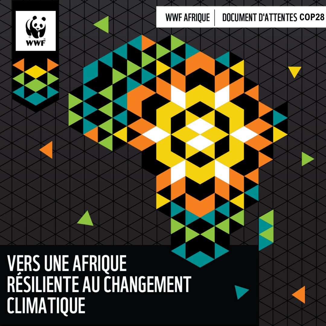 WWF_CongoBasin tweet media