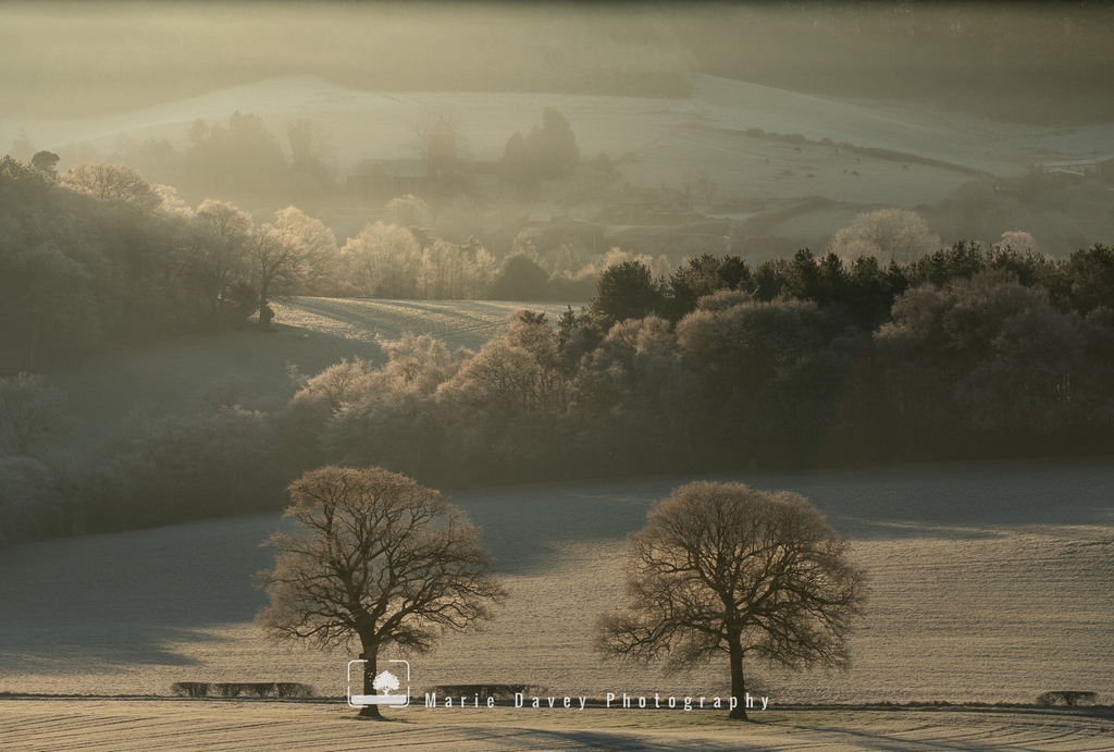 Anyone else dreaming of frosty mornings? I think it's because I've had so many horrible wet dog walks recently that I want some properly cold weather! And of course, it'll be nice to get out with my camera...

Taken on a beautiful morning back in January at #NewlandsCorner