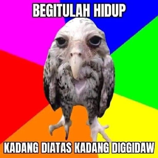 ukirharsa's tweet photo. Tolong jangan bawa-bawa aku, hidupku udah susah. https://t.co/fqJEMUN1Hz