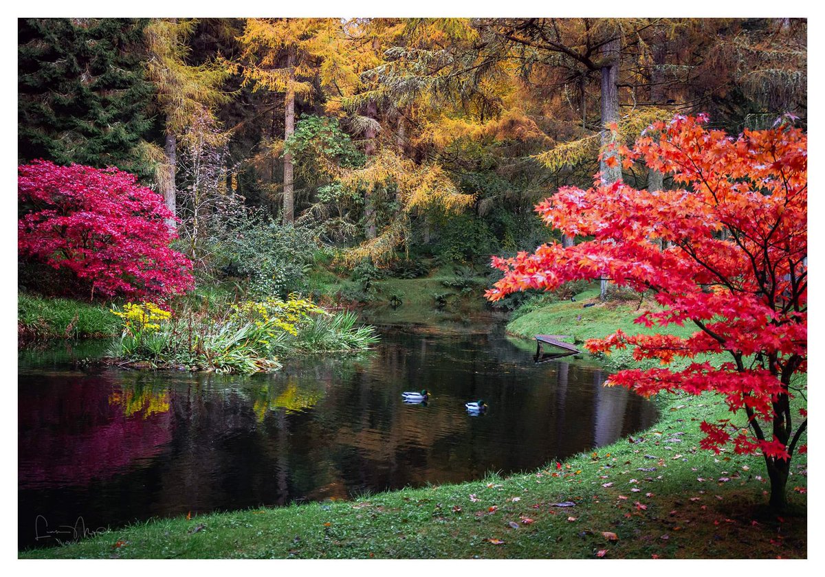 liamslandscapes's tweet photo. Some images taken around Gortin and Gortin Glens Co Tyrone area recently. @WeatherCee @angie_weather @bbcniweather @barrabest @WeatherAisling #autumn #AutumnVibes #gortinglens #November2023 https://t.co/qQGRonEuYr