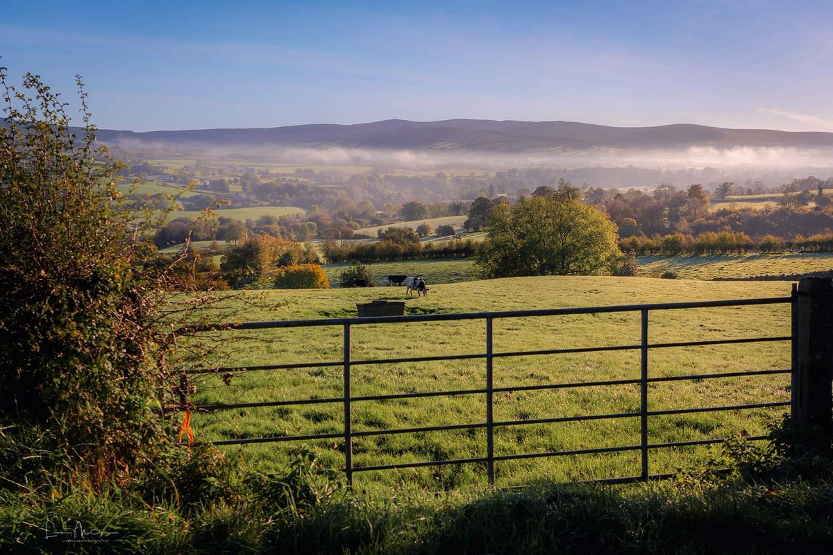liamslandscapes's tweet photo. Some images taken around Gortin and Gortin Glens Co Tyrone area recently. @WeatherCee @angie_weather @bbcniweather @barrabest @WeatherAisling #autumn #AutumnVibes #gortinglens #November2023 https://t.co/qQGRonEuYr