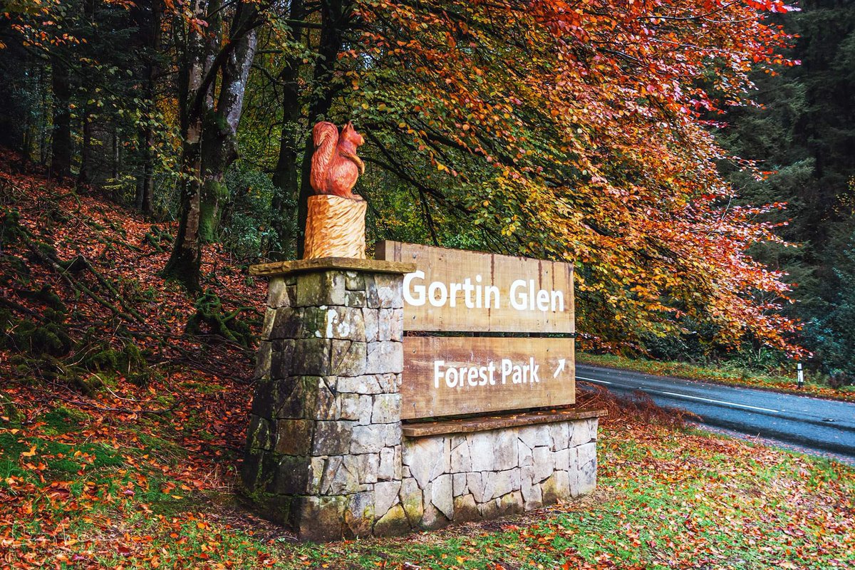 liamslandscapes's tweet photo. Some images taken around Gortin and Gortin Glens Co Tyrone area recently. @WeatherCee @angie_weather @bbcniweather @barrabest @WeatherAisling #autumn #AutumnVibes #gortinglens #November2023 https://t.co/qQGRonEuYr