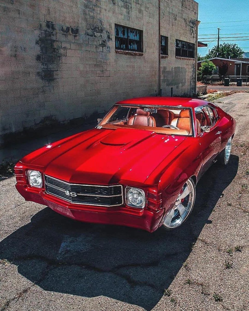 TlrWorldWidellc's tweet photo. Where is all my #Bikers at and #MuscleCars at ๐คLetโs go. #OldSchool & #NewSchool #TheGoodOnes & #TheBadAssOnes #AmericanChopper #BikersForTrump #Harley #HarleyDavidson #CustomChoppers #Choppers #TRUMP ๐บ๐ธ #BikerDudes #BikerWoman #Racing #BikerChicks #BikerDudes #Motorcycles #CustomRides #HotRods #Mustang Letโs ROCK WITH Your #Rides & #SELFIES HERE๐#Malibu #StraightOuttaMalibu #MalibuRides