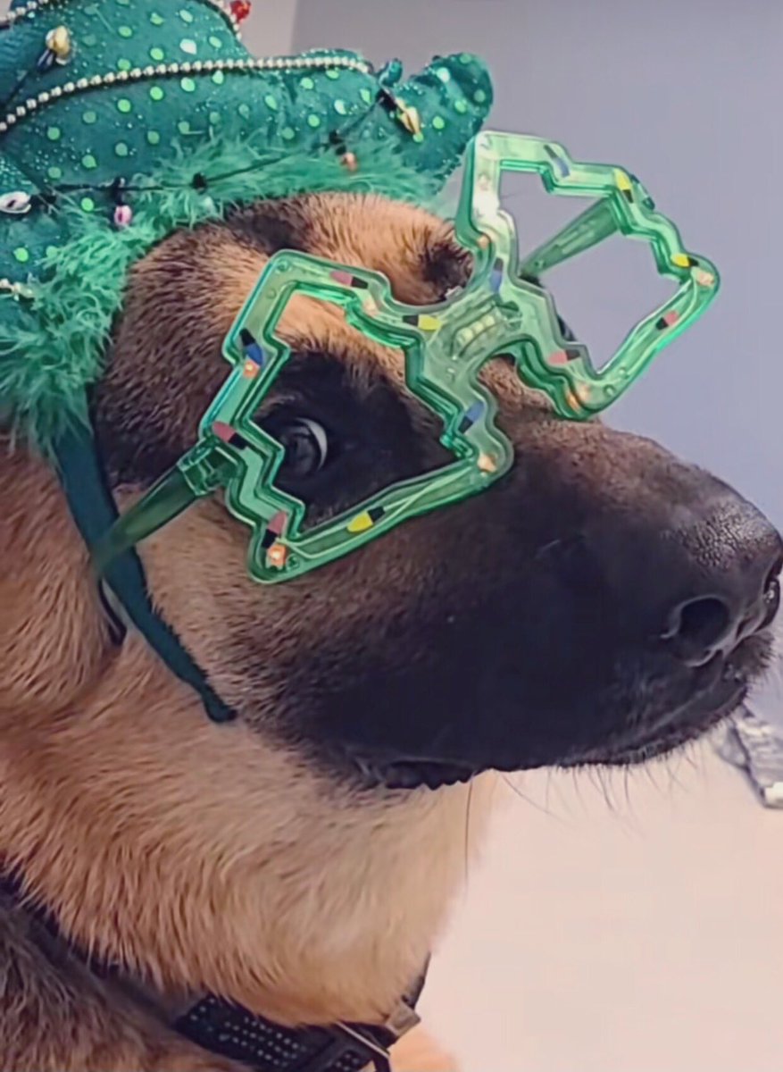 #GutenMorgen ihr Lieben… Heute wird angefangen weihnachtlich zu schmücken… 😅🙈🙃🎄
Wünsche allen einen schönen Tag… ☺️🌸