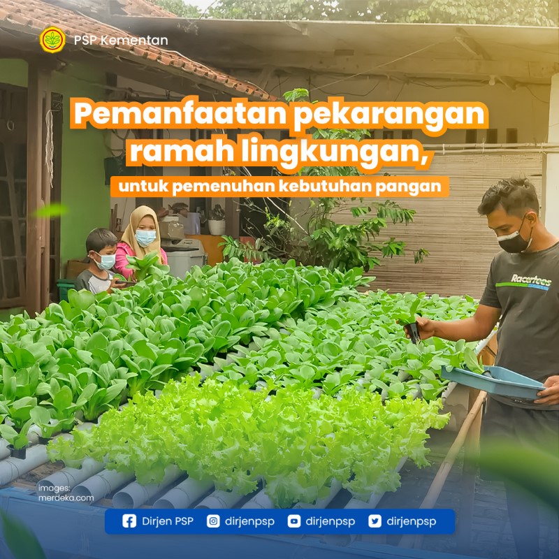 dirjenpsp's tweet photo. Pemanfaatan pekarangan memang perlu dilakukan untuk pemenuhan kebutuhan pangan dan gizi keluarga melalui penyediaan aneka sayur, buah, hingga sumber protein hewani. Sehingga dapat membudayakan masyarakat mengkonsumsi makanan yang beragam, bergizi seimbang dan aman.

#ditjenpsp https://t.co/Ls3DBRaVIv