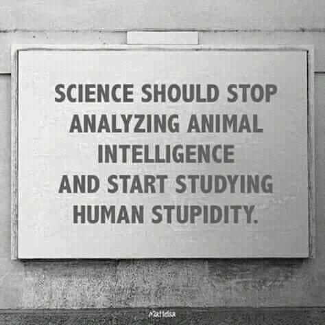 Irena Buzarewicz (@irenabuzarewicz) on Twitter photo 