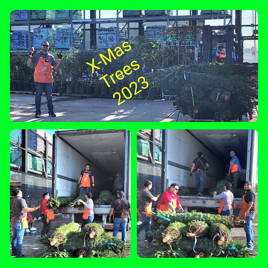 Deyanira Solis (@deyanirasolis7) on Twitter photo ✨️It's starting to feel like X-mas! 🎄 And smells like it, too. They are here beautiful and fresh😍 🎄 trees. <a href="/fernavic6984/">Victor Fernandez</a> <a href="/THDPonchoIbarra/">Poncho Ibarra</a> <a href="/LettyReyna5/">Letty Reyna</a> <a href="/DianaMar6984/">Diana Mar</a> <a href="/AnaGarz08180162/">Ana Garza</a> <a href="/BeaMartz6984/">Beatriz Martinez</a> <a href="/JoeTorres440/">JOE TORRES</a> <a href="/Elsa82930695/">Elsa</a> ✨️It's starting to feel like X-mas! 🎄 And smells like it, too. They are here beautiful and fresh😍 🎄 trees. <a href="/fernavic6984/">Victor Fernandez</a> <a href="/THDPonchoIbarra/">Poncho Ibarra</a> <a href="/LettyReyna5/">Letty Reyna</a> <a href="/DianaMar6984/">Diana Mar</a> <a href="/AnaGarz08180162/">Ana Garza</a> <a href="/BeaMartz6984/">Beatriz Martinez</a> <a href="/JoeTorres440/">JOE TORRES</a> <a href="/Elsa82930695/">Elsa</a>