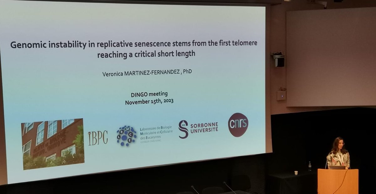 lbmce_umr8226's tweet photo. 🧬Veronica Martinez @v3k4_, Post-Doc in the team Telomere Biology presented her work : #Genome instability in replicative senescence stems at the #Dingodays. @IJMonod https://t.co/r8dGAtJeMh
