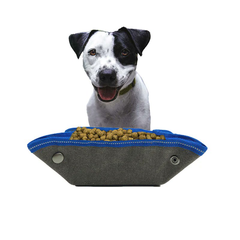 Pawsomeoasis's tweet photo. 🐾 Explore the perfect travel duo for your four-legged friend: the Folding Dog Bowl and Large Canvas Dog Food Bag set! 🐶🥣🌀 The collapsible dog bowl keeps your pet hydrated on-the-go, folding into a compact form when not in use for ultimate convenience. 
https://t.co/yUbEXQUpNQ https://t.co/acGLA33Ths