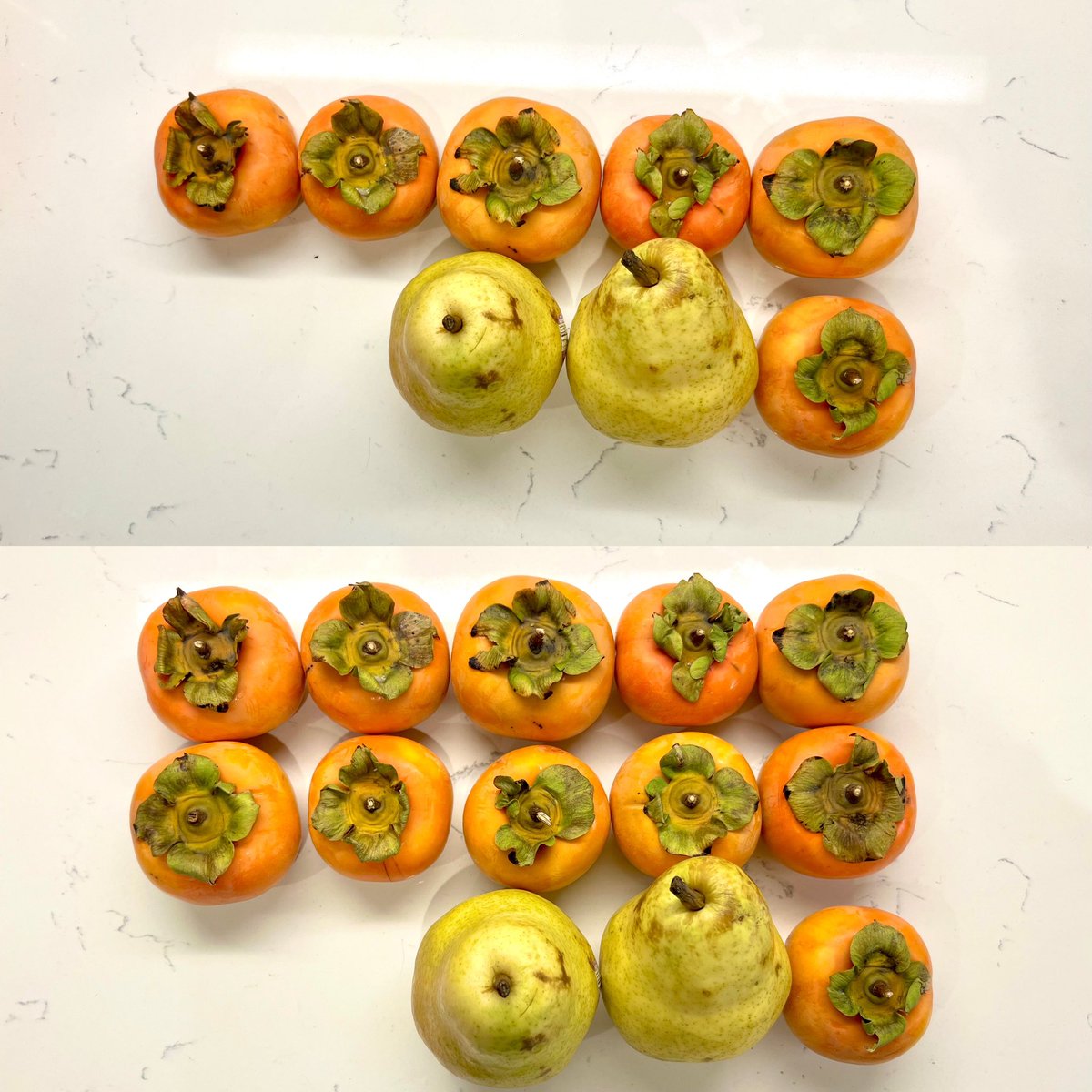 It’s persimmon season! 
What’s the same or different? #differentbutrelated #NSRR #cgimath