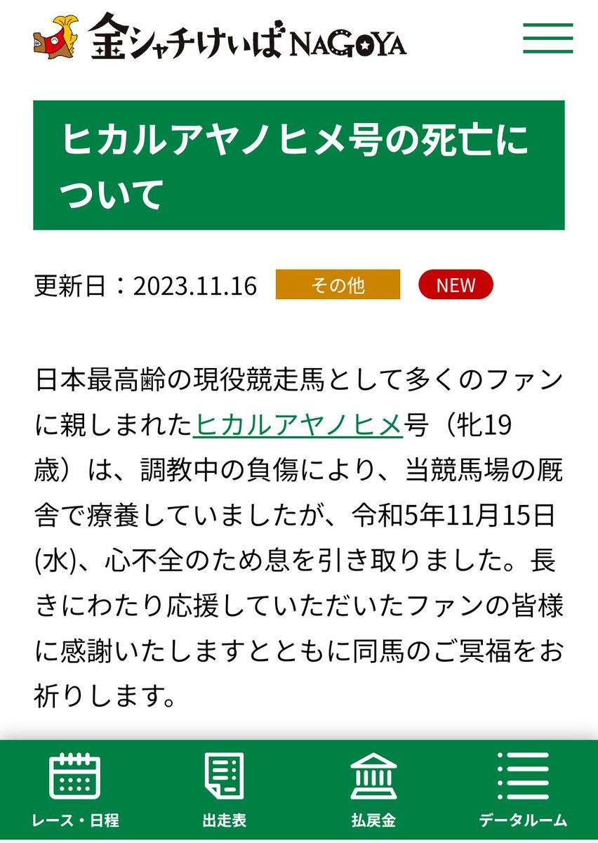 keiba_info_club's tweet photo. 【訃報】
日本最高齢の現役競走馬ヒカルアヤノヒメ号(19)、15日に心不全で死亡
https://t.co/Yx5Sq8ZXve https://t.co/77nj2XJ3D6