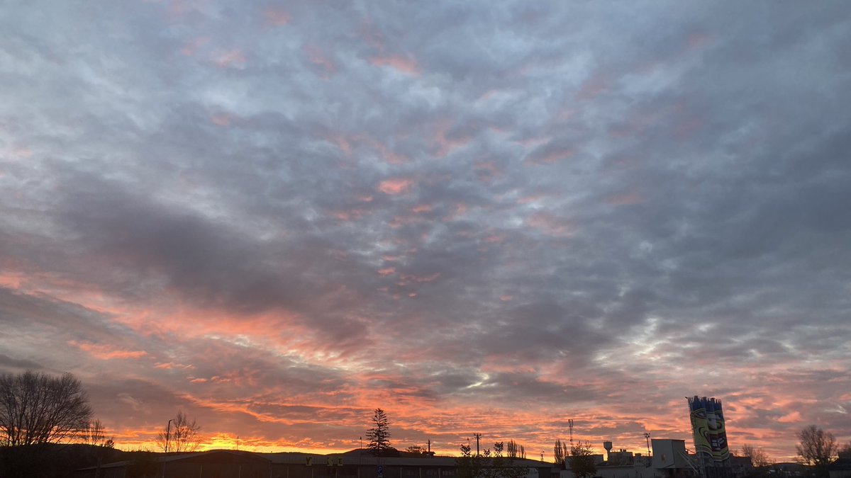 analogrunner's tweet image. 🪐⏩️💙