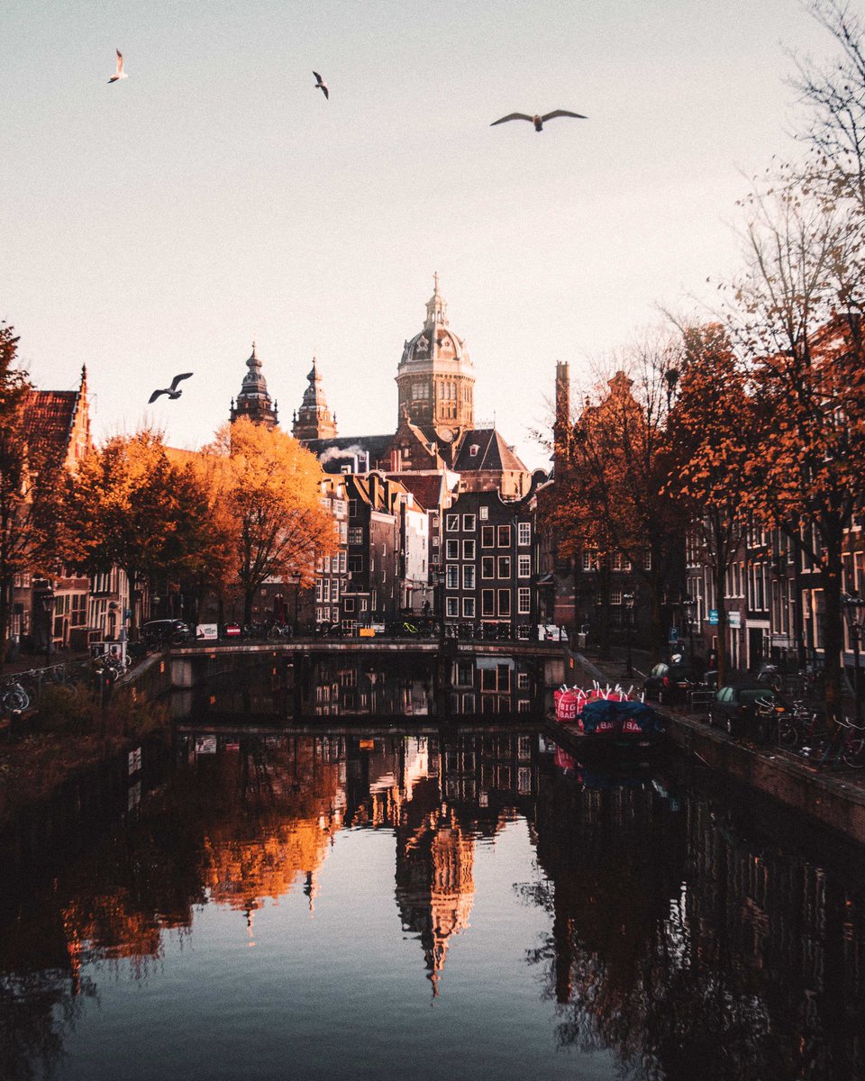 Amsterdam, c'est une destination magique 365 jours par an 🍂