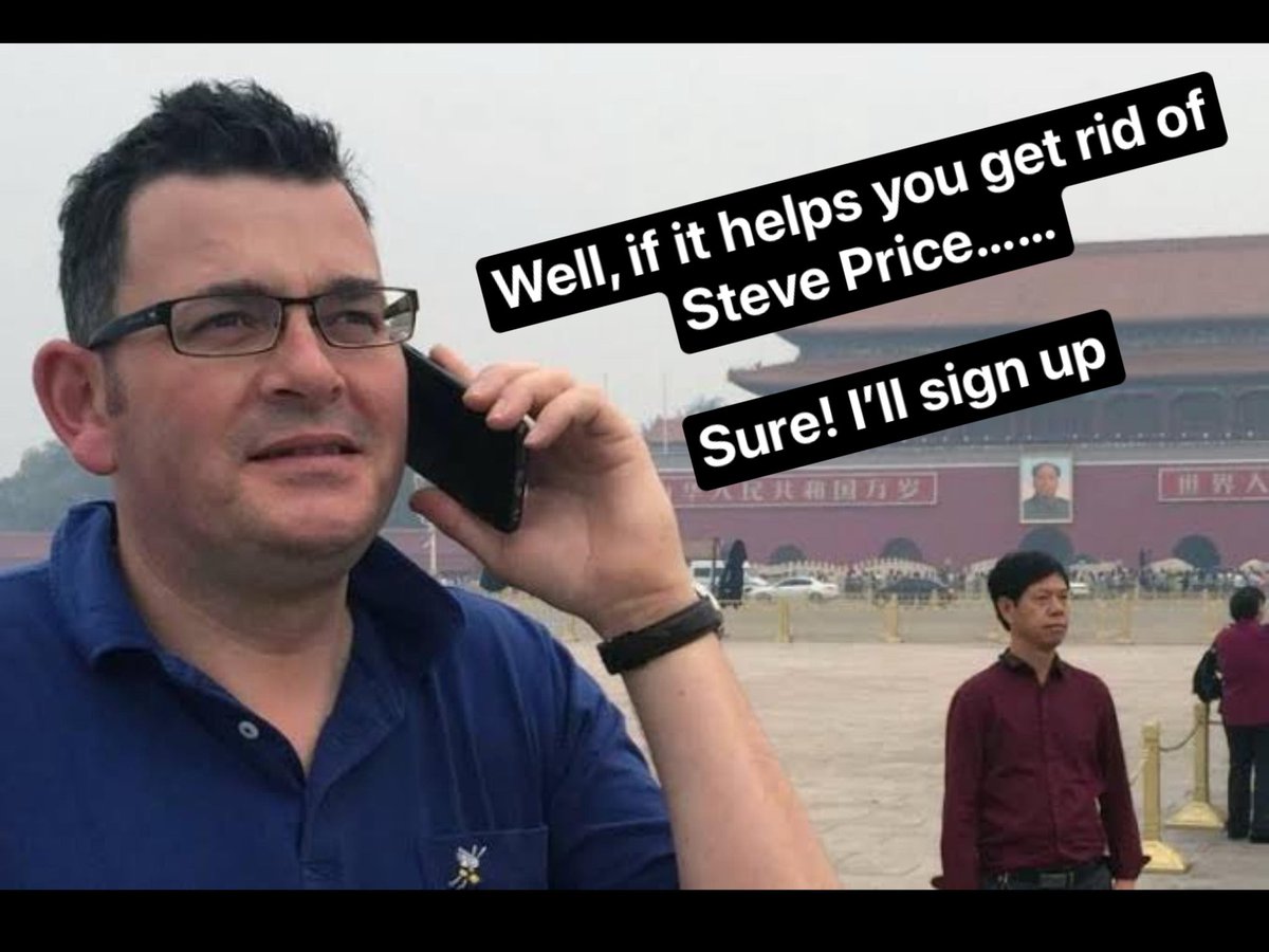 Julie Downey (@newfeathers13) on Twitter photo 