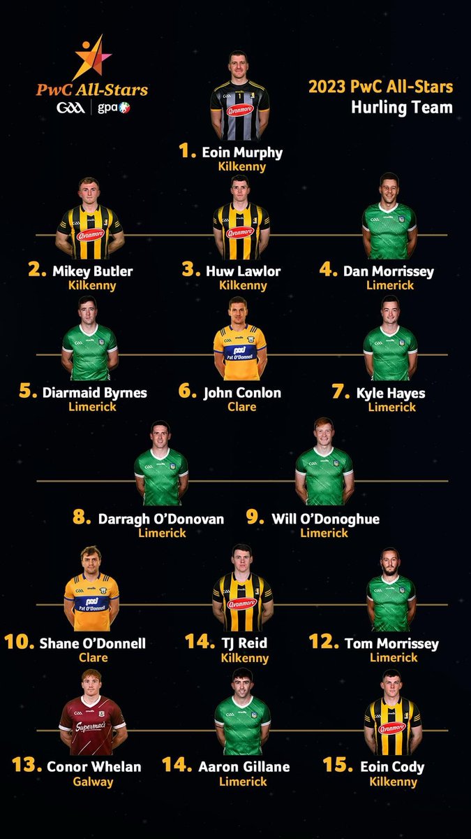 7 all stars for Limerick happy with that 😜!!!