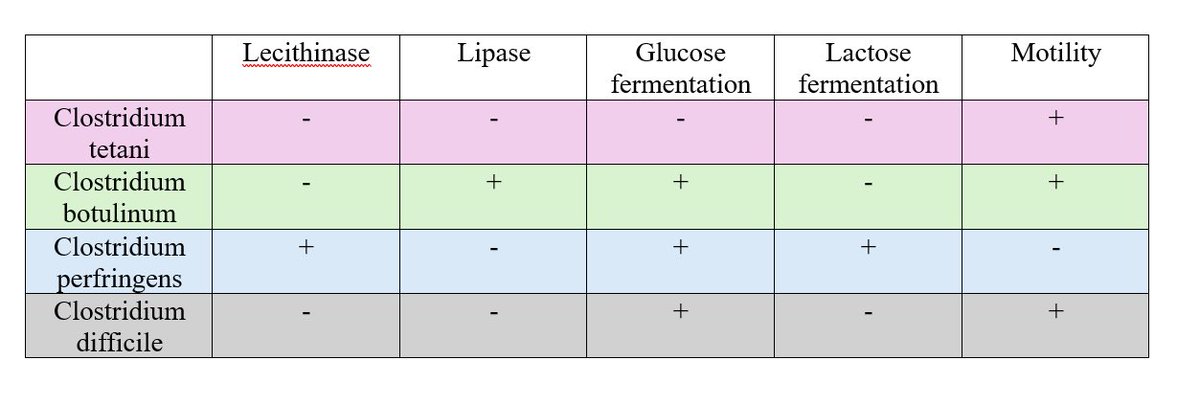 nina, RMT, MLS (ASCPi) 💜 tweet media