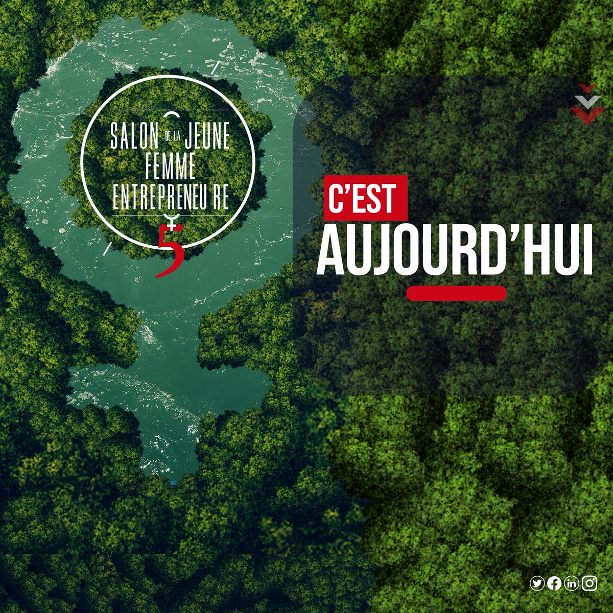 Incubateur Pull Up Business Women tweet media