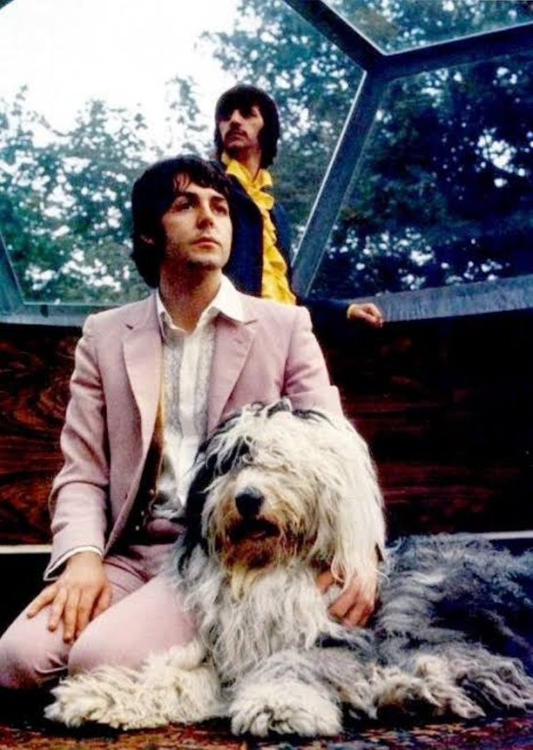 miss_weirdor's tweet photo. MARTHA THE QUEEN https://t.co/wSXxC5icri