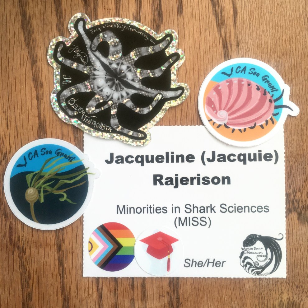 #WSN2023 was an amazing experience of catching up with with my marine ecology friends, making new connections, and learning! 
I donated art for the silent auction-  and now it has a new home!
It was an honor to have my #cuttlefishart featured in the Naturalist of the Year talk!!