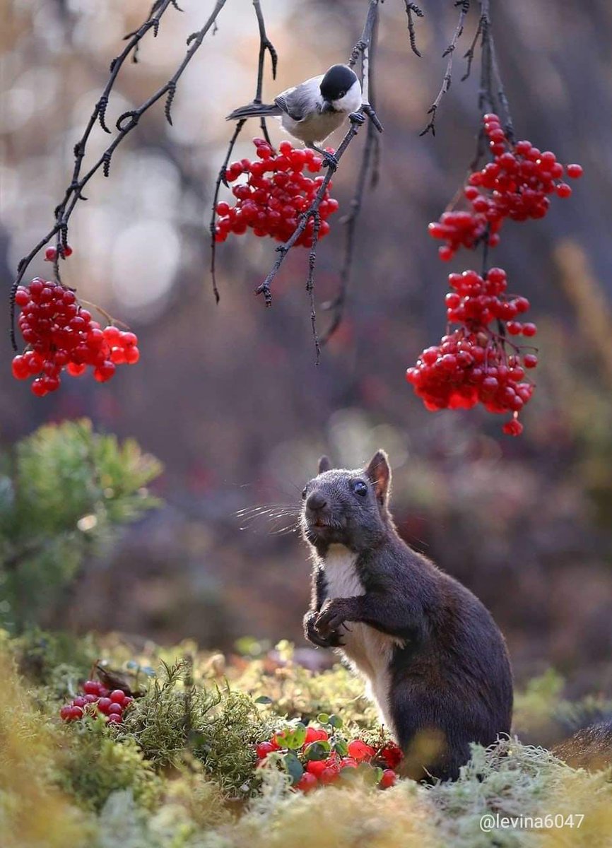 Dr.Tőke Anna (@drtkeanna1) on Twitter photo 