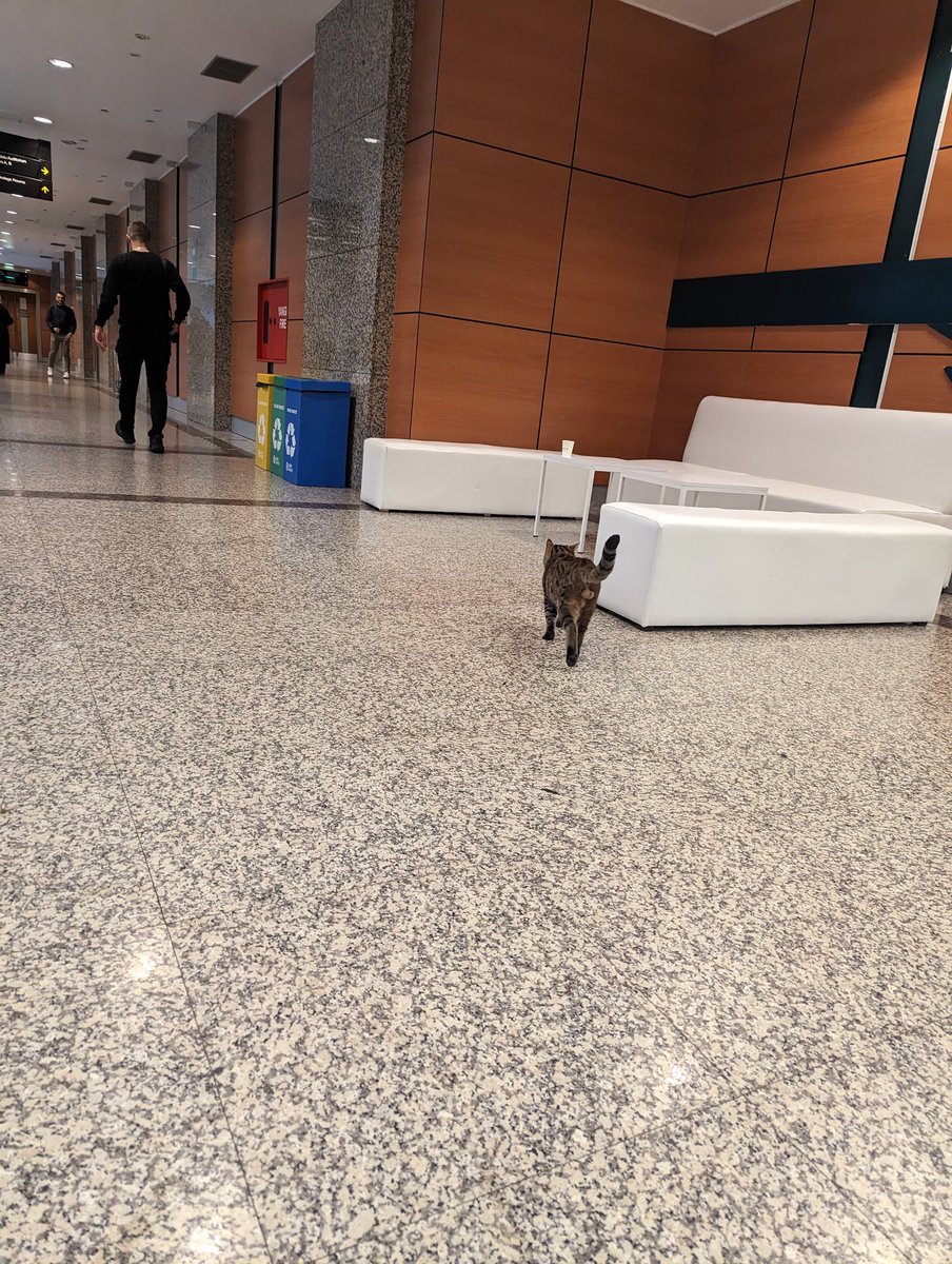 adust09's tweet image. #ProgCrypto #Devconnect